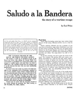 Saludo a la Bandera 4